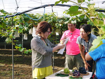 熊本ぶどう 社方園 お礼肥え(その2)_a0254656_15534342.jpg