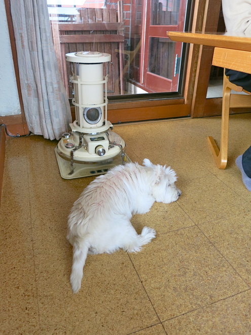 初アラジン_c0260460_1451939.jpg