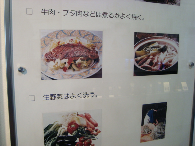 「目黒寄生虫館」へ行く。_f0232060_14544326.jpg