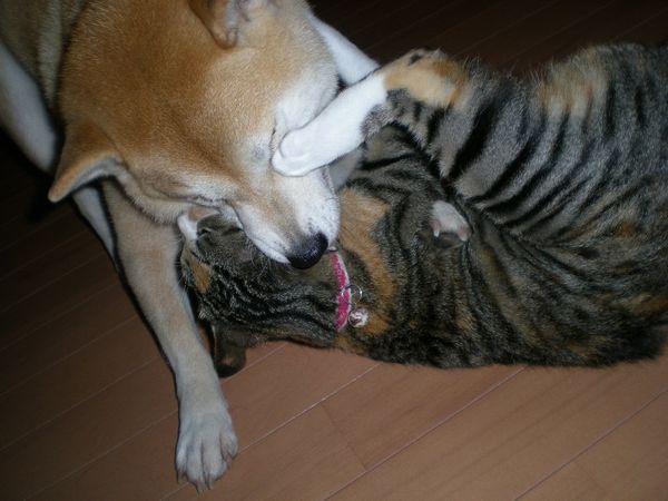’13,10,19(土)今日は武蔵小杉に~~~!_f0060461_7324425.jpg