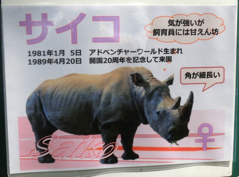 日本平のシロサイ 個別紹介 ごきげんよう 犀たち 日本平のシロサイ 個別紹介 ごきげんよう 犀たち