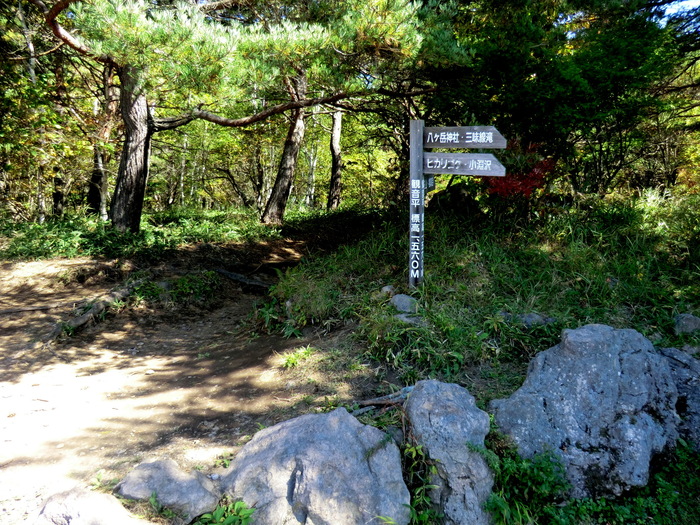 No315 　おまけに登る南八ケ岳・編笠山_b0185573_14305668.jpg