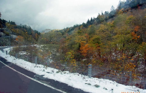 f0083977_011755.jpg