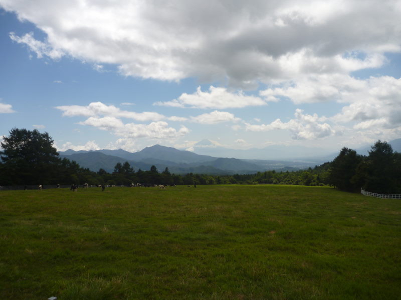 草原の動物たちと雄大な自然のコラボの癒し・まきば公園-信州高原サイクリング・美ヶ原ビーナスライン編⑬_e0138081_454668.jpg