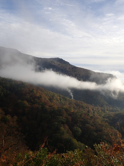 131019／朝のひと走り・磐梯吾妻スカイライン紅葉_a0279883_82915.jpg