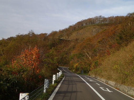 a0279883_8293699.jpg