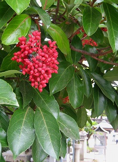 c0229483_1845335.jpg