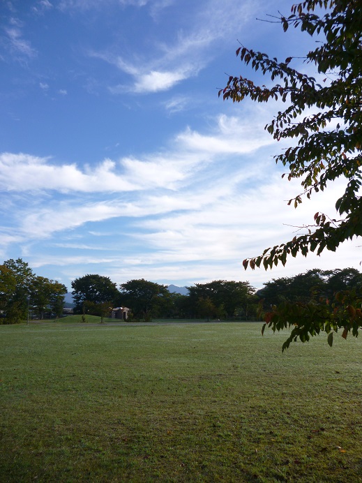 d0129083_18419.jpg