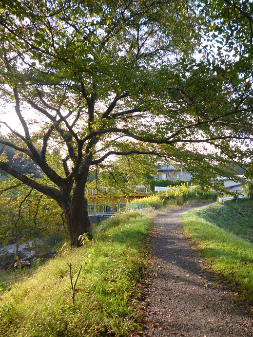 d0129083_1843669.jpg