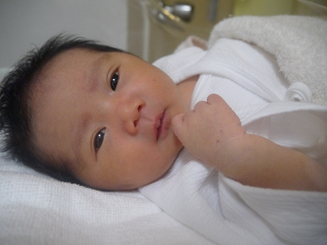 d0238083_20505163.png
