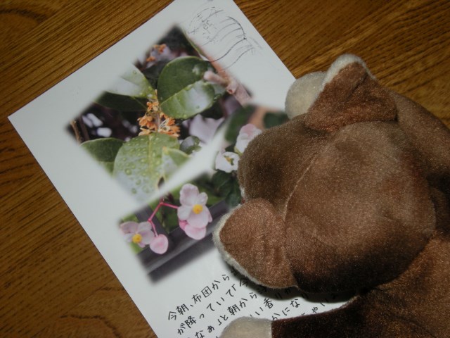 f0063887_221289.jpg