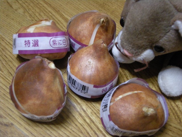 f0063887_2292373.jpg
