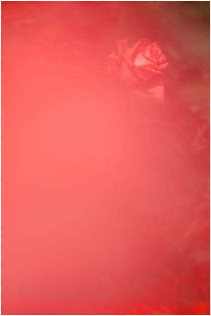 e0305388_9491886.jpg