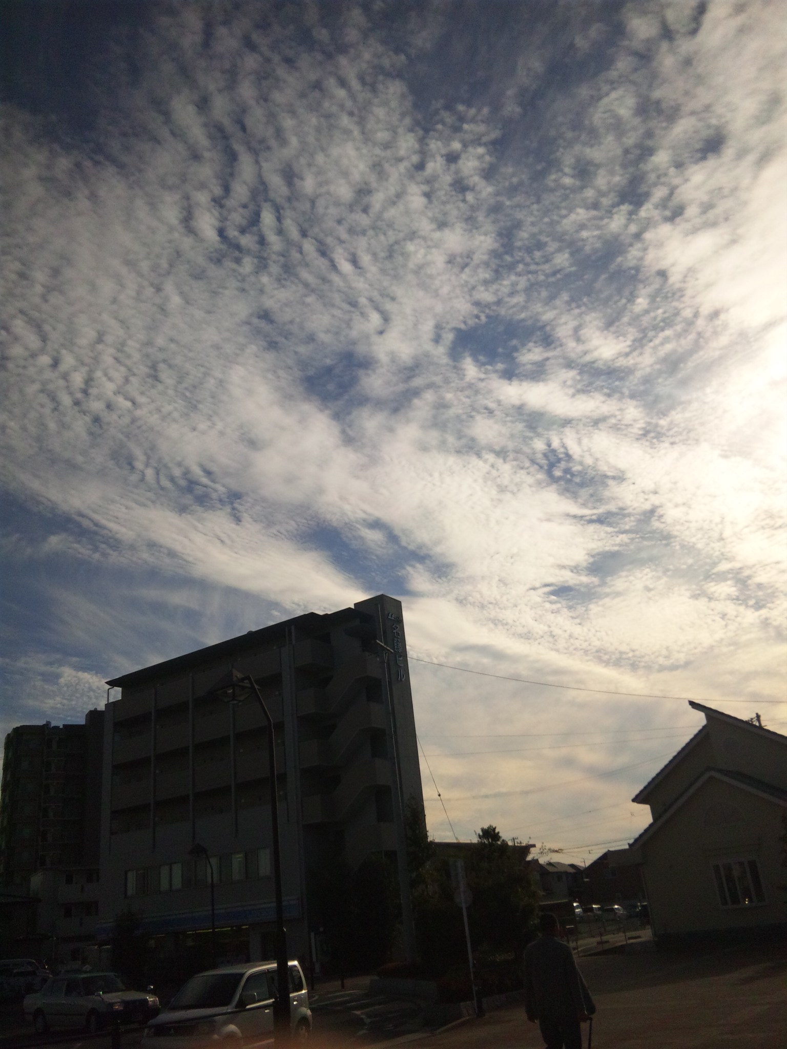 d0318191_8591227.jpg