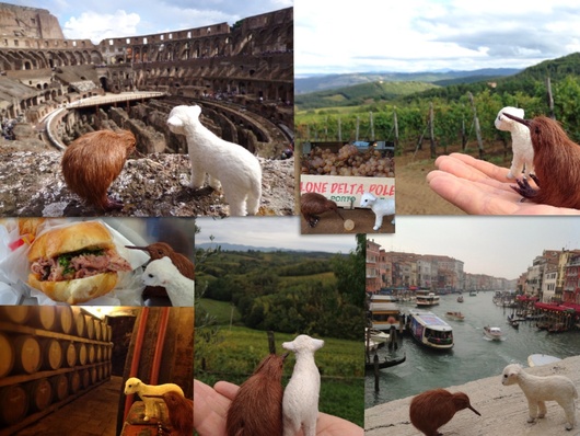 イタリアへ行って参りました!_e0320096_1520534.jpg