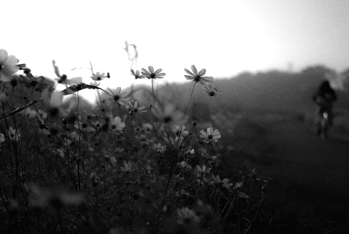 b0286898_8555129.jpg
