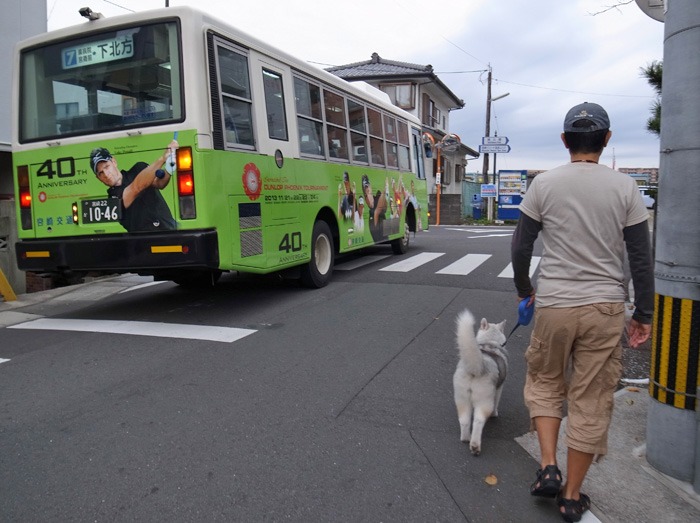 子犬 ただ今練習中_c0049299_21421920.jpg