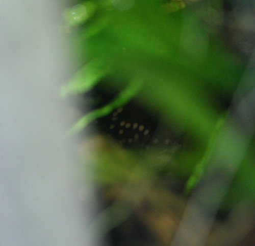 c0165800_2115814.jpg
