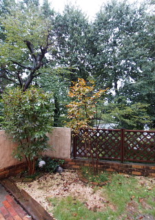c0039501_17341921.jpg