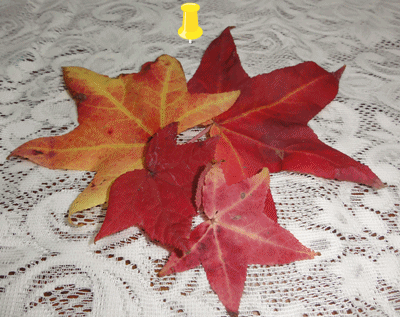 c0125501_1735217.gif