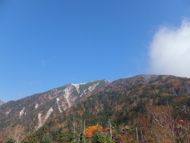 a0271502_2152613.jpg