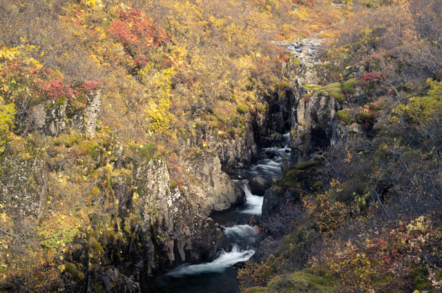 c0005102_164732100.jpg