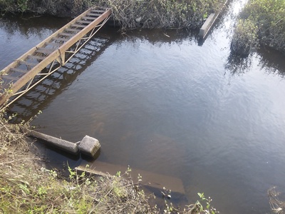 f0082402_97720.jpg