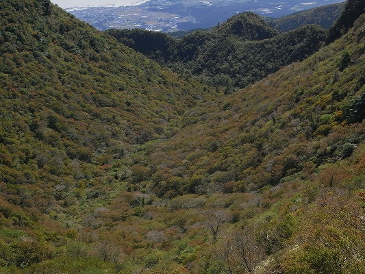 f0187402_18442820.jpg