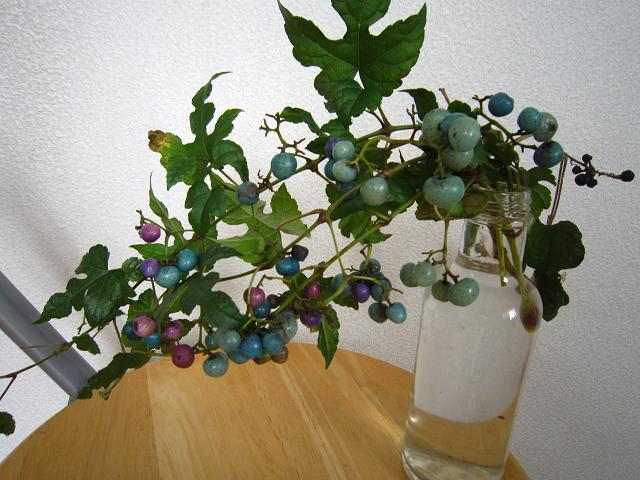 a0141408_21292882.jpg