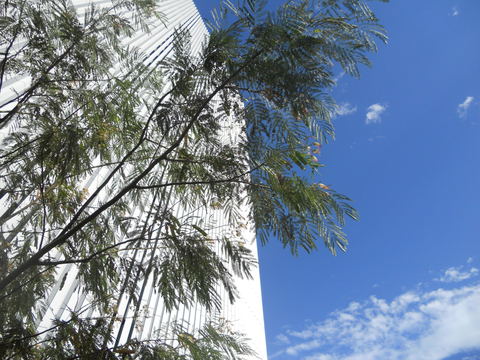 f0093508_0571197.jpg