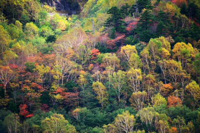 奥日光　山王峠の紅葉2_a0263109_11193642.jpg