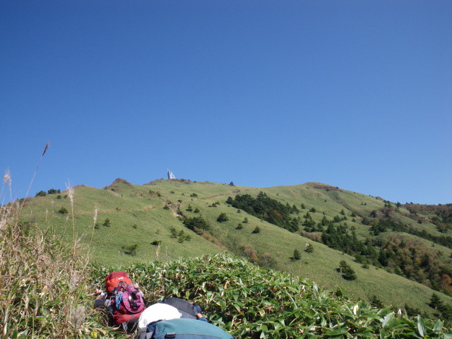 d0006512_10293567.jpg
