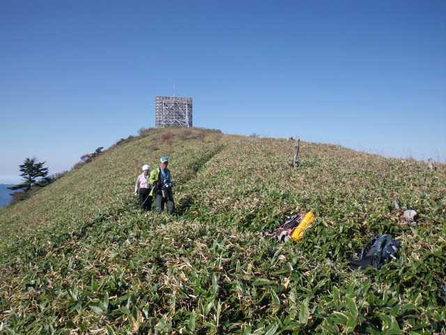 d0006512_1030142.jpg