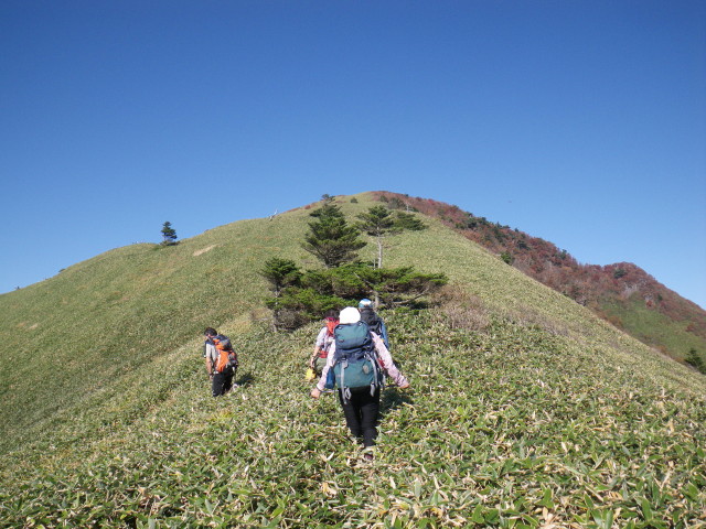 d0006512_10324150.jpg