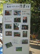 c0173813_8931100.jpg