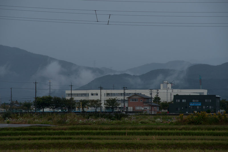 a0278914_737986.jpg