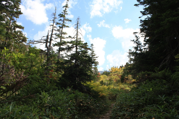 b0093515_84482.jpg