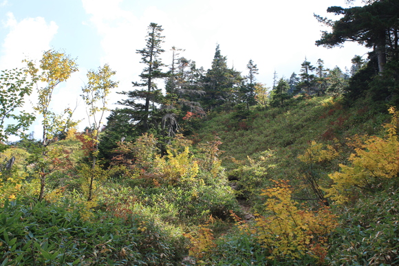 b0093515_845551.jpg