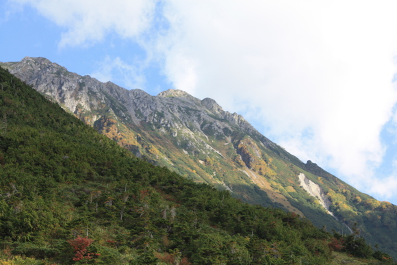 b0093515_8474921.jpg