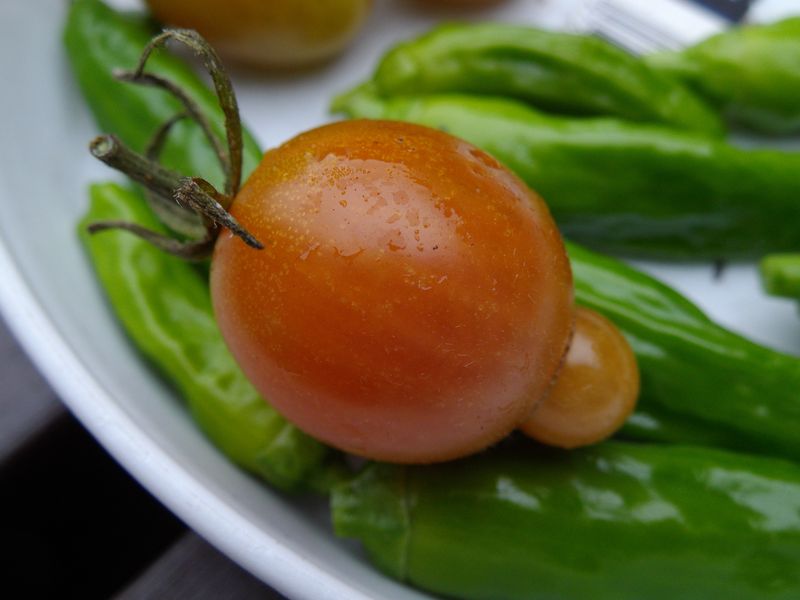 花も野菜も最終コーナー_c0025115_2046817.jpg