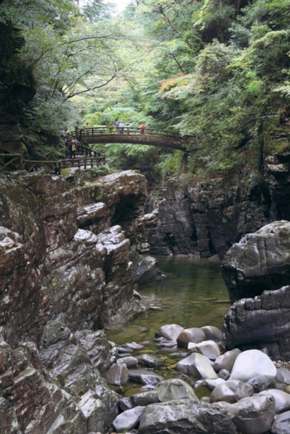 紅燃ゆる（？）石鎚山面河渓（おもごけい）日帰りの旅by阪急交通社_a0287517_10575342.jpg