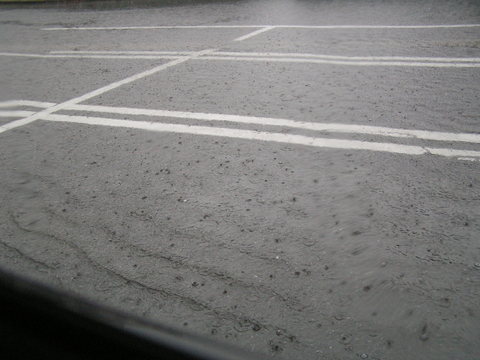 b0009118_165164.jpg