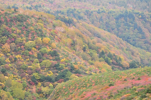 a0248728_2364175.jpg