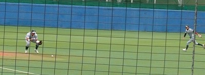 東農大対専修大 10月1日 東都大学野球2部_b0166128_19405027.jpg