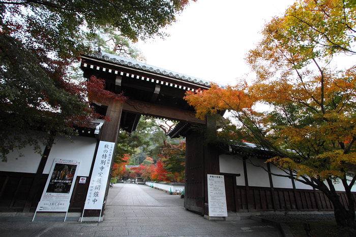 紅葉の南禅寺・哲学の路 －永観堂（後編）－_b0169330_18484868.jpg