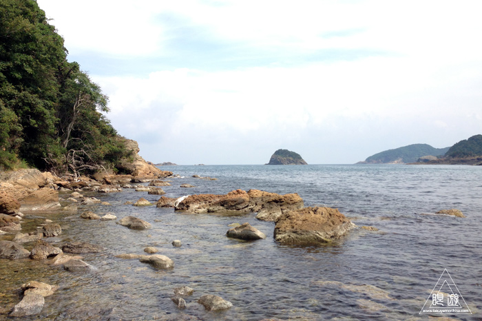 359 美保関町 ~ムラサキダコの最後~_c0211532_16442618.jpg