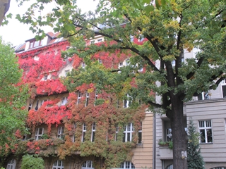 f0224632_2242543.jpg
