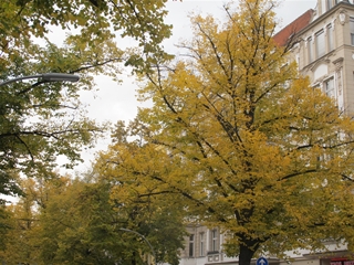 f0224632_2244827.jpg