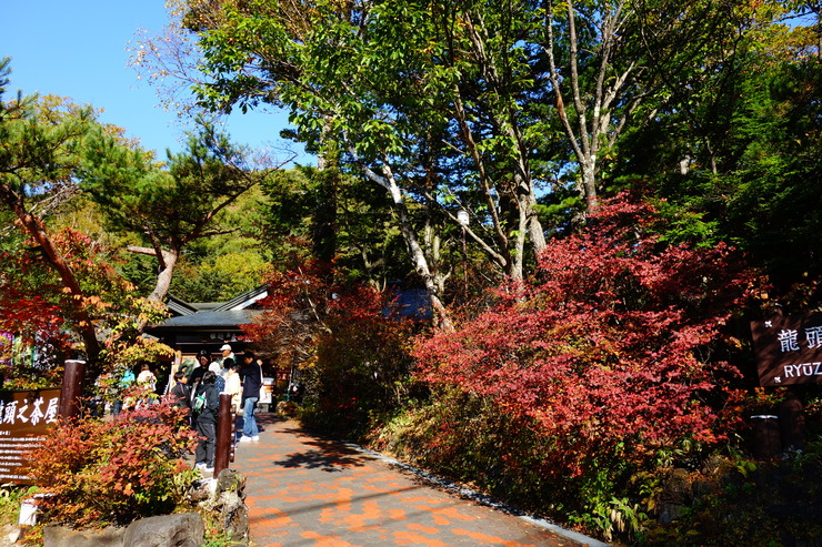 a0287336_20305412.jpg