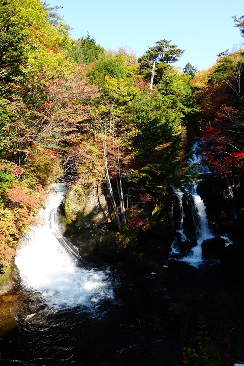 a0287336_20382317.jpg